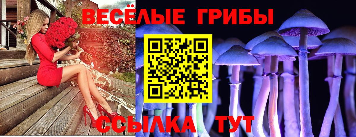 Миасс  Псилоцибиновые грибы Magic Shrooms  Вход с VPN 